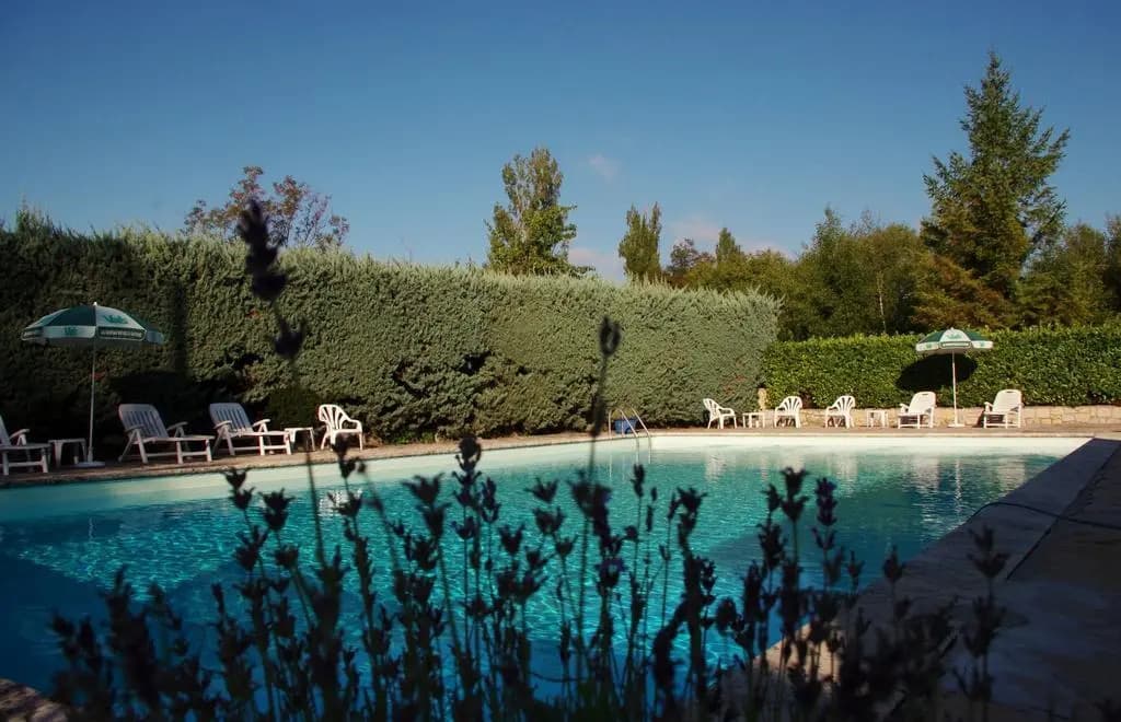 Auberge de l'escargot d'or - Photo 4