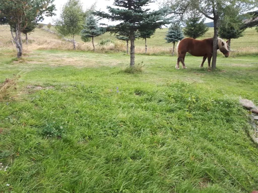 Gite Le Francillon - Photo 3