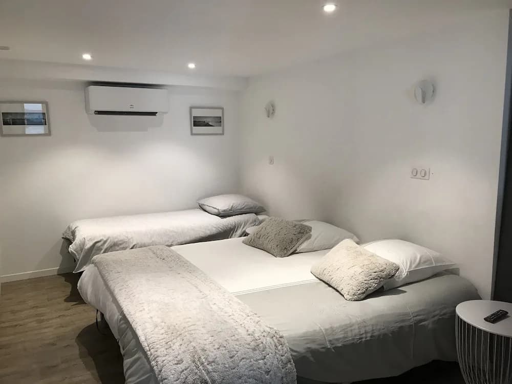 Le séquoia - Photo 4