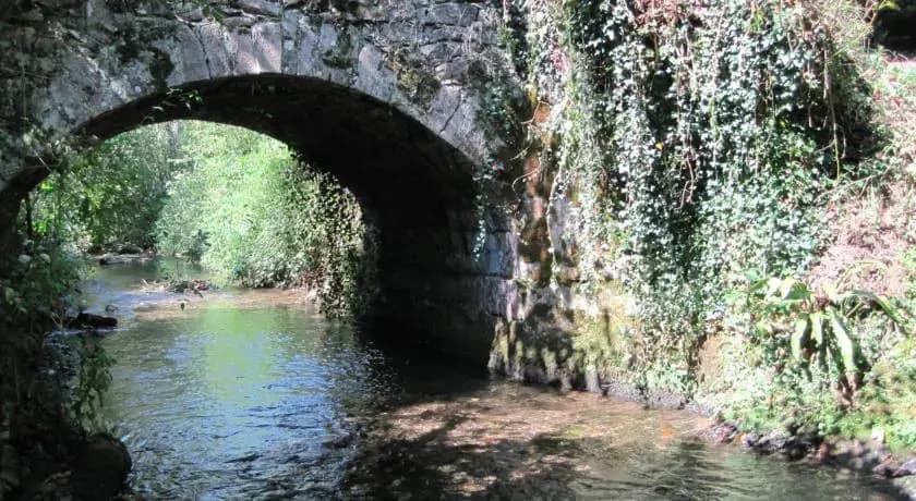 Tourné - Photo 4