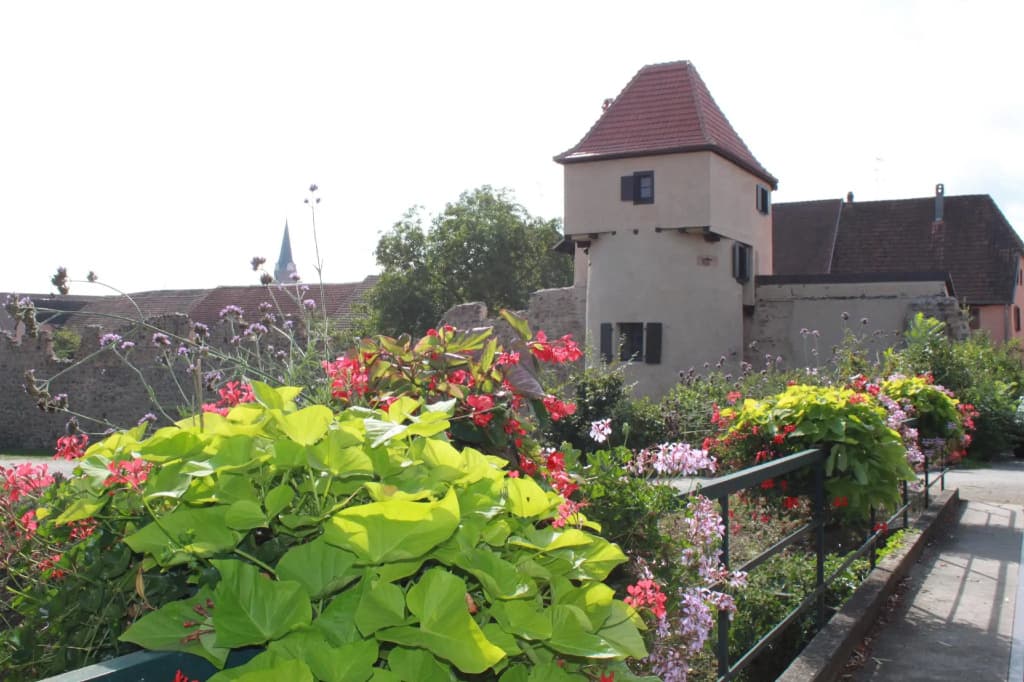 S'harzala Vert Bis - Photo 2