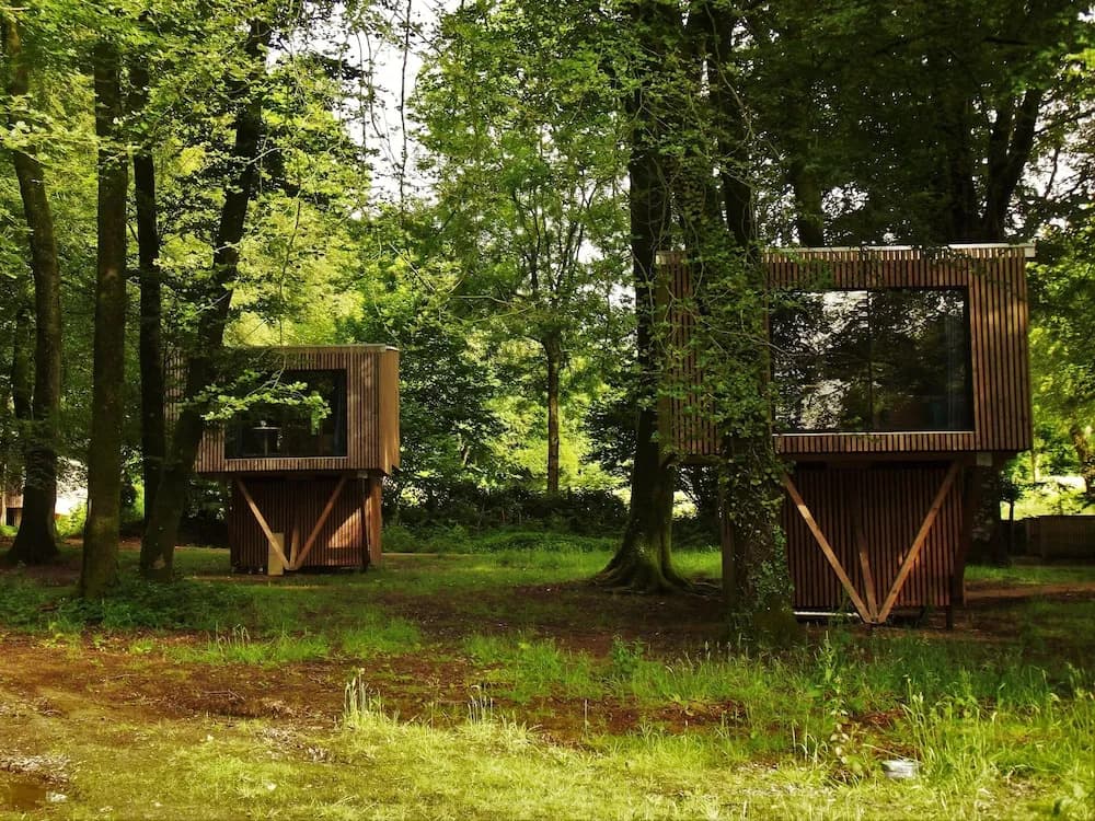 Etape en forêt - Miniature 7