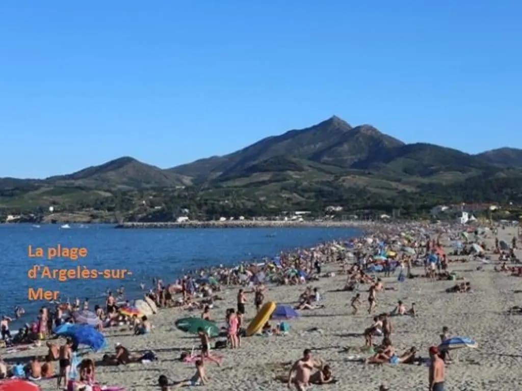 Appartement Argelès-sur-Mer, 2 pièces, 4 personnes - FR-1-225-714 - Photo 1