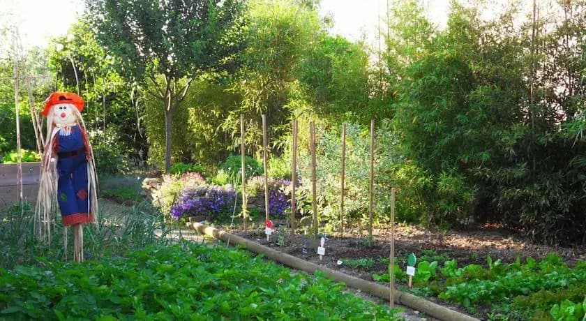 Le Cottage du Layon - Photo 4