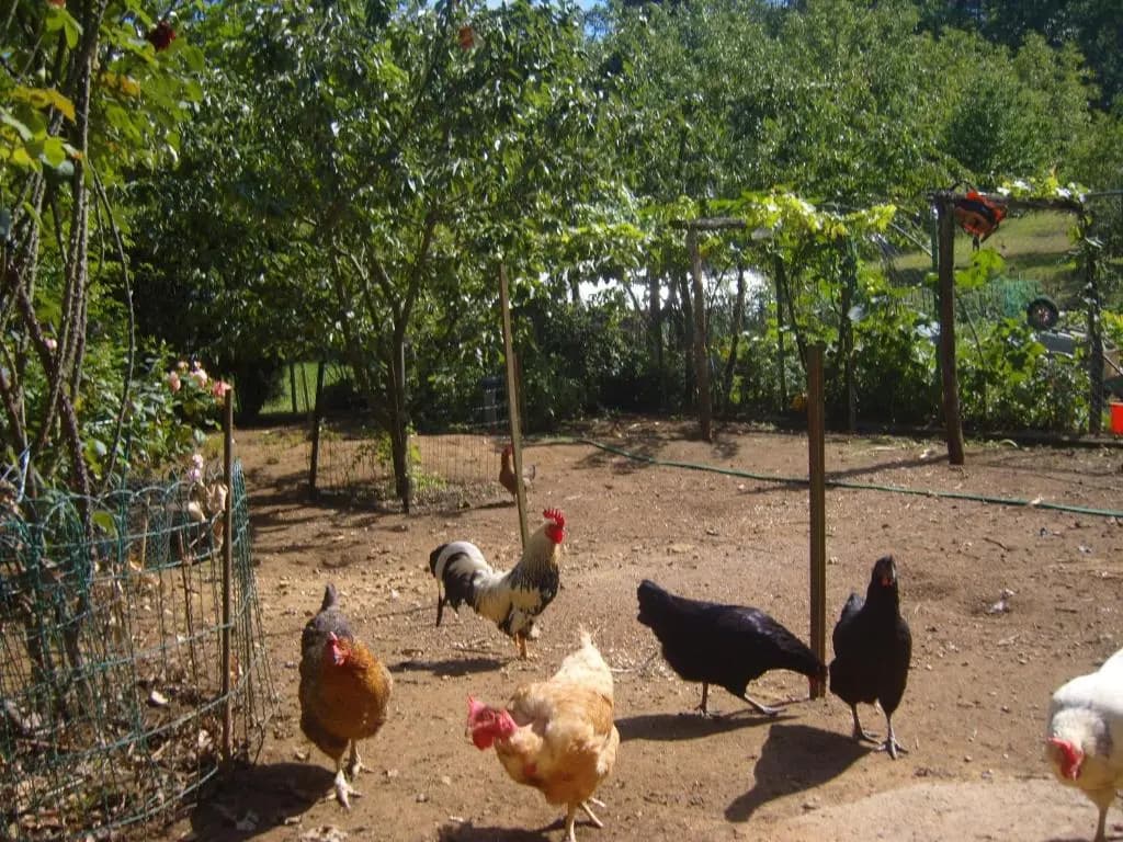 Gîte La Jaubertie Labellisé Handicap - Photo 2