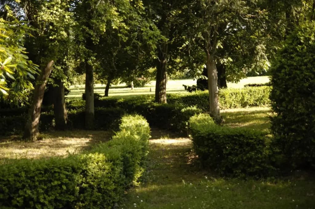 Gite Les Buis de Saint Martin - Photo 2