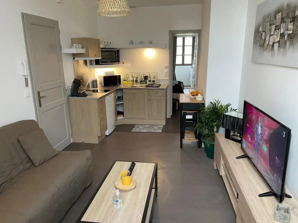 Logement Entier 33 M2 a Pau - Photo 3