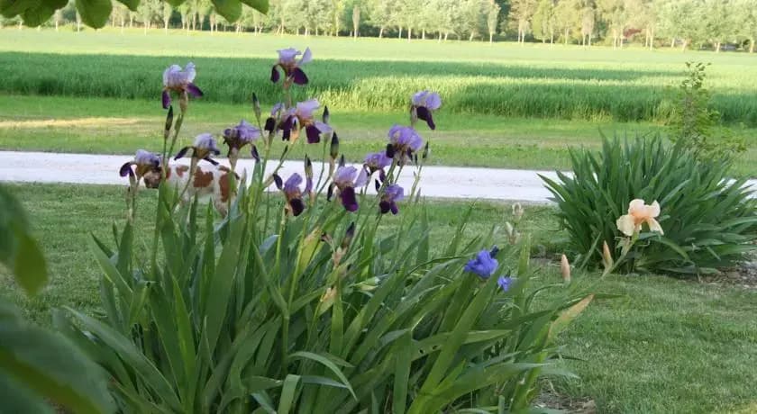 Le Domaine du Lac - Photo 2