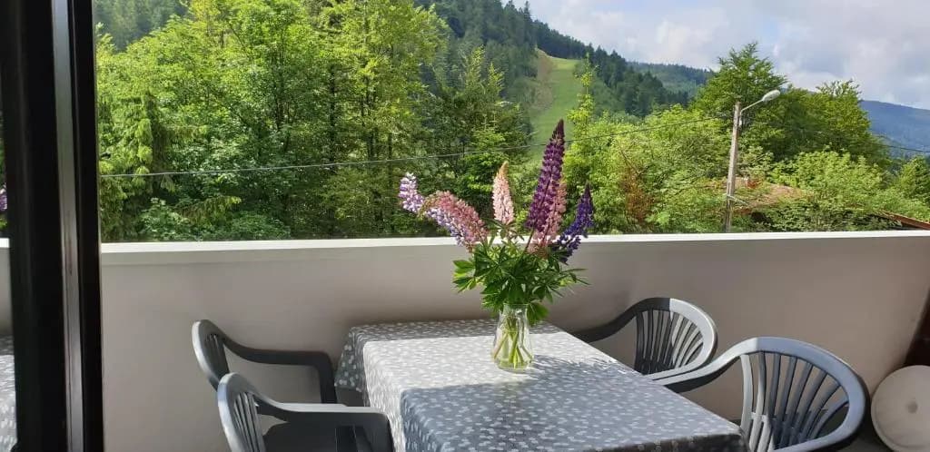 Appartement Les Oursons La Bresse - Photo 4