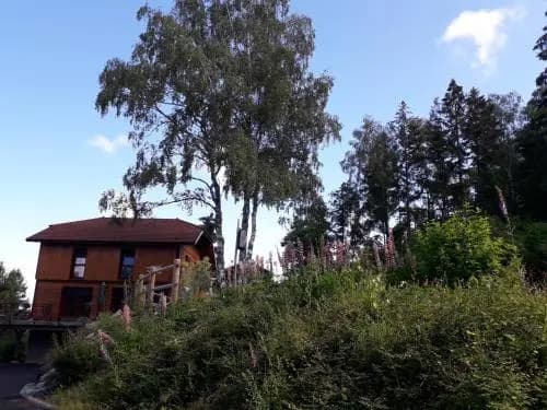 Chalet Luxe 12 Personnes SPA Sauna Vosges-Gerardmer - Photo 1