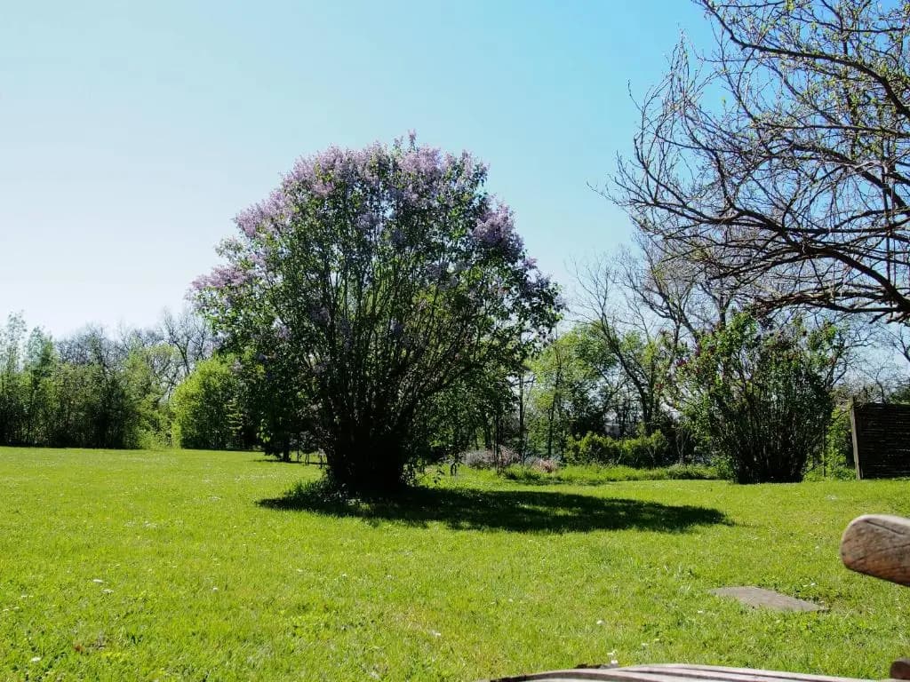 Gite De Charme Au Bord Du Tarn - Photo 1