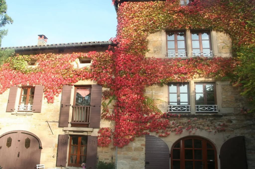 L'Aube du Moulin - Photo 1