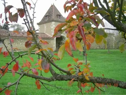 Domaine D'entudelle - Photo 2