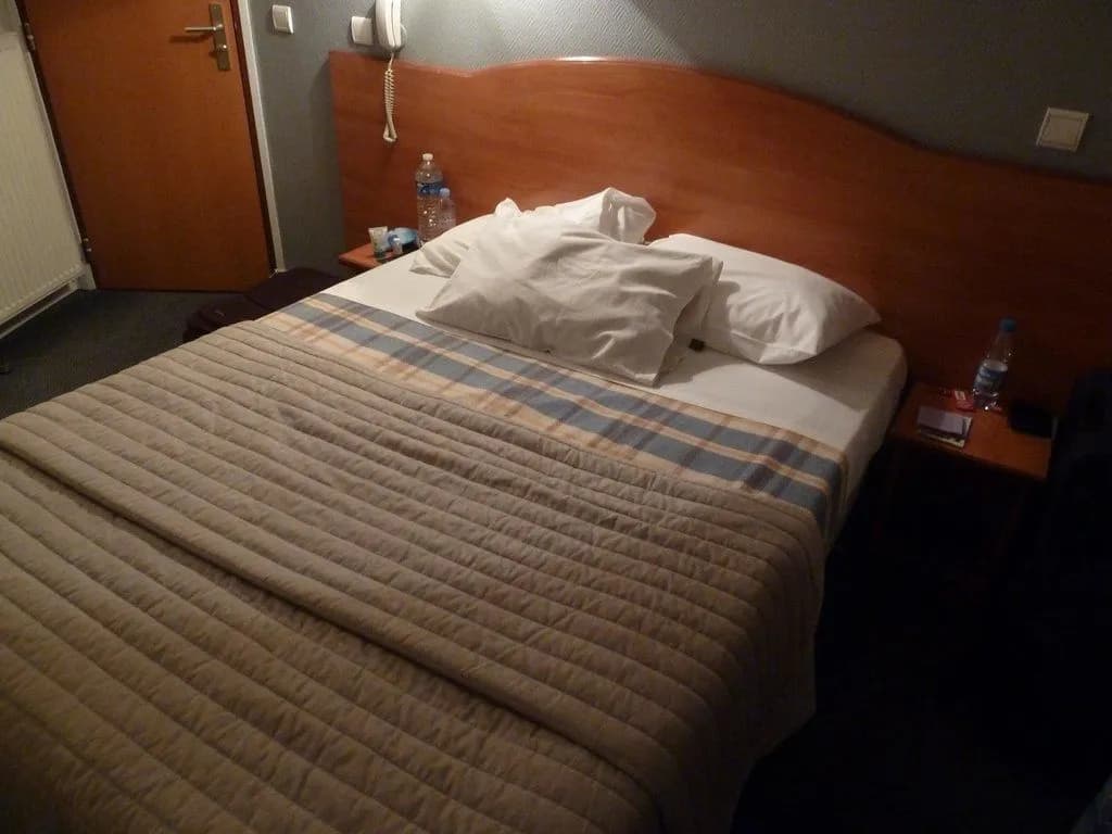 Hôtel Camélia - Photo 1