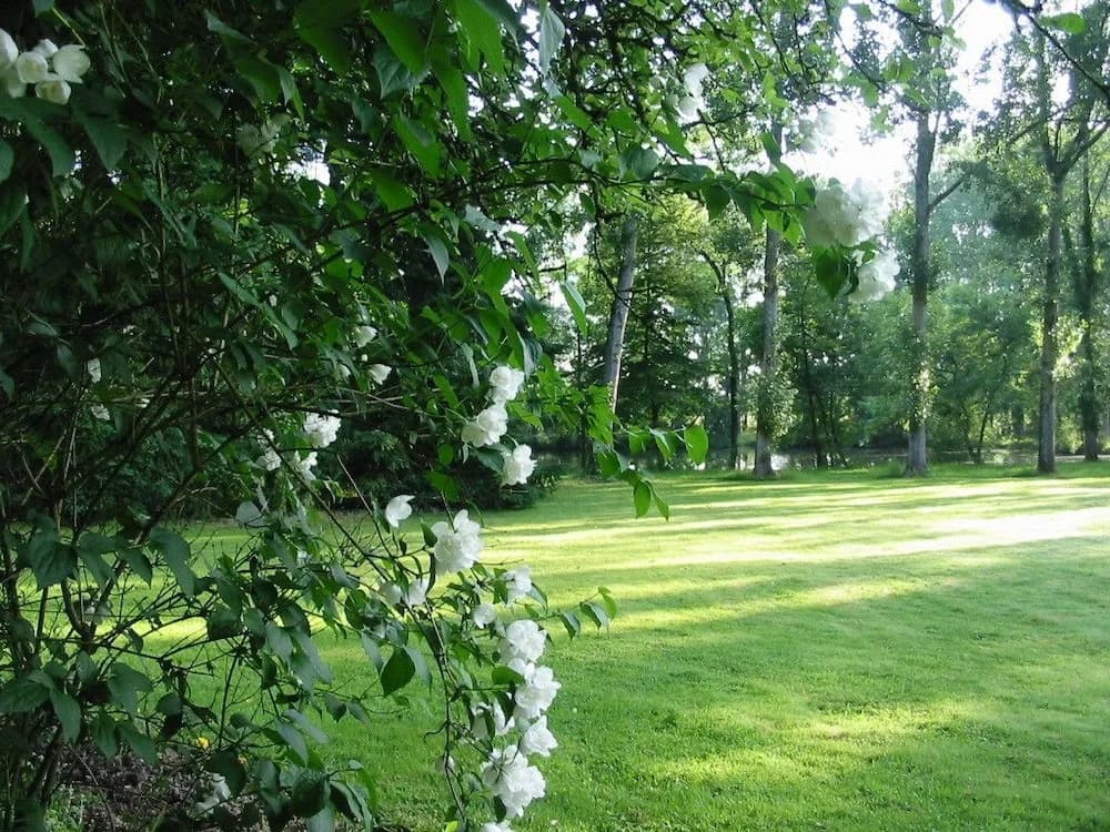 Domaine des Etangs de Bois Robert - Miniature 6