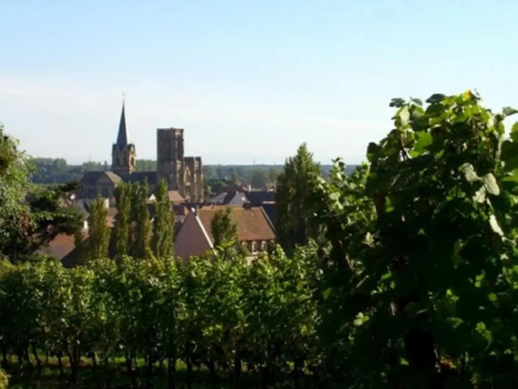 Studio Rouffach - Photo 3