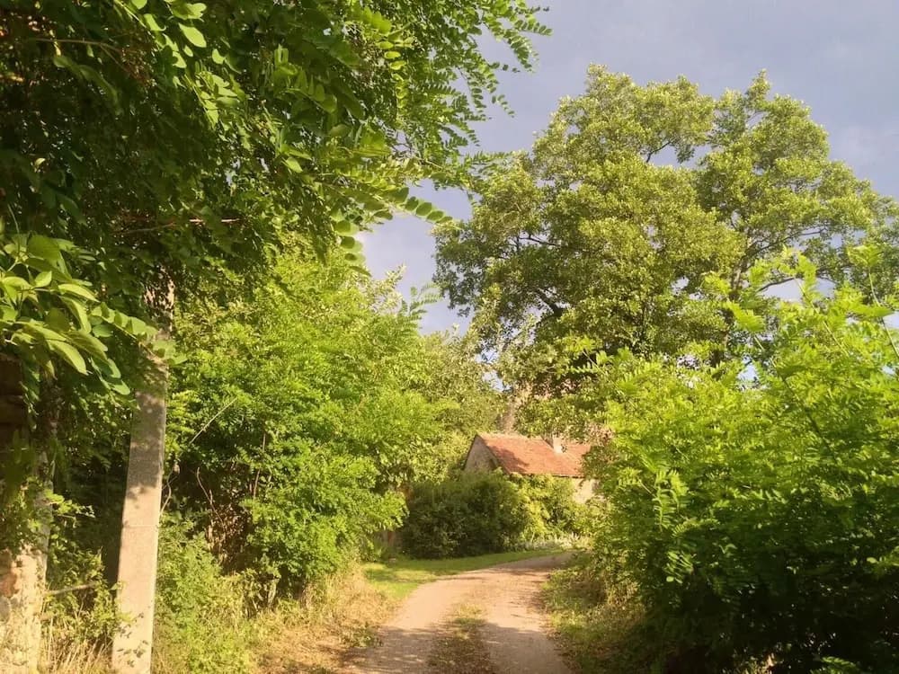 La Tour - Photo 5