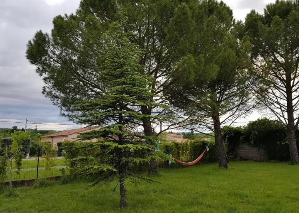 gîte en sud Ardèche - Photo 2