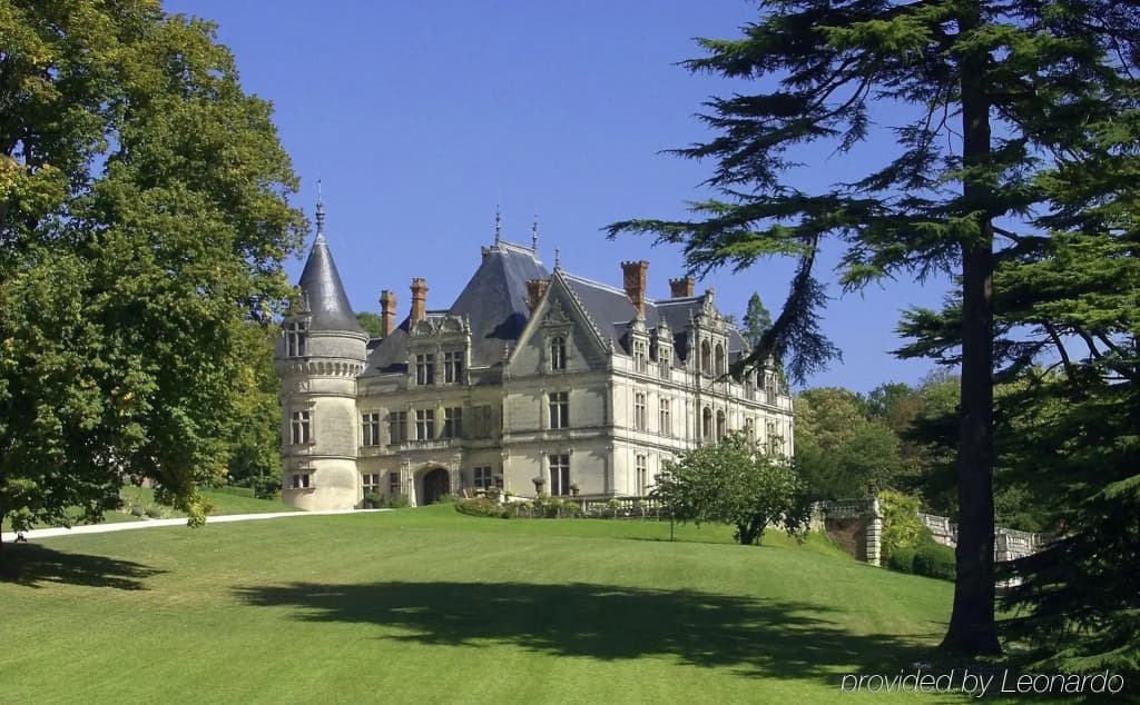 Château de la Bourdaisière - Miniature 8