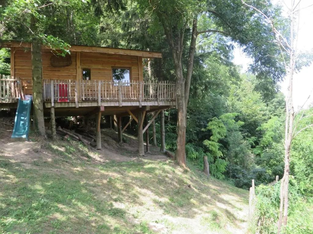 La Cabane aux Sapins - Photo 5