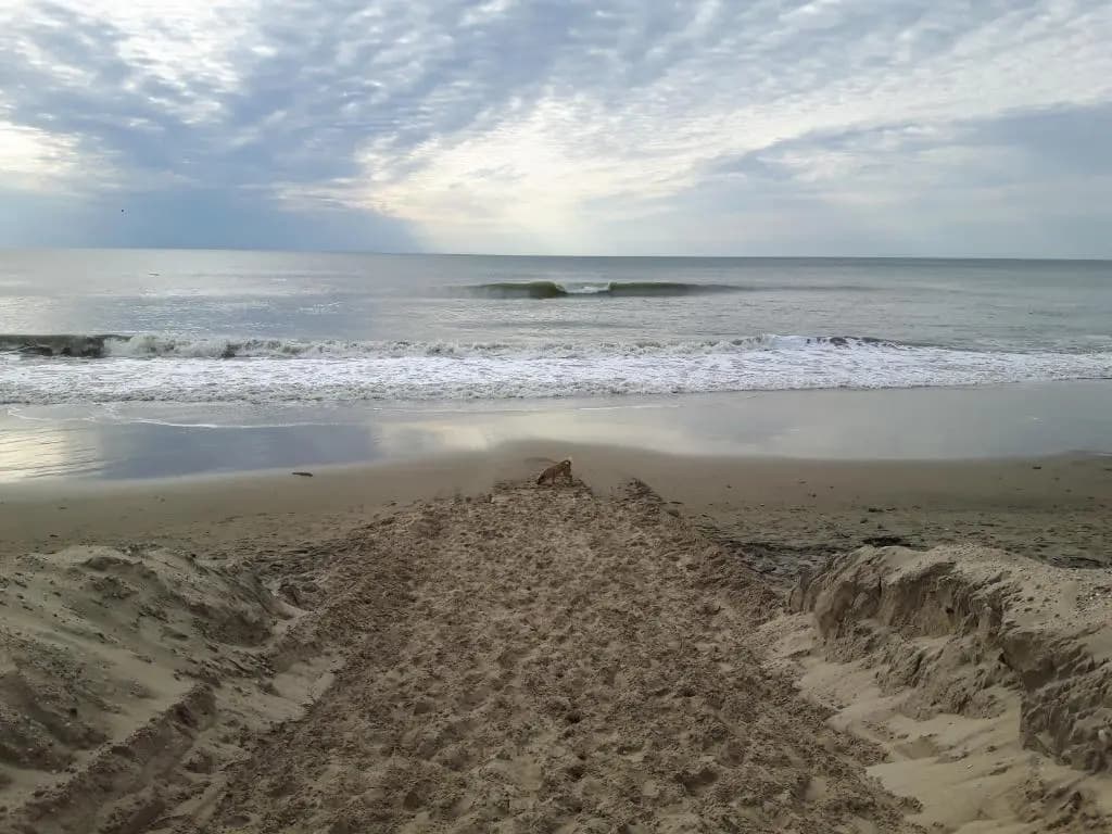 Appartement SOULAC SUR MER À 500 m de la plage N 2 - Photo 5