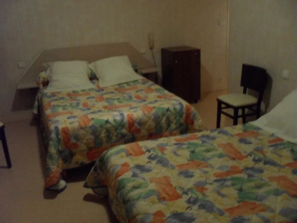 Hotel Le Centre - Miniature 6