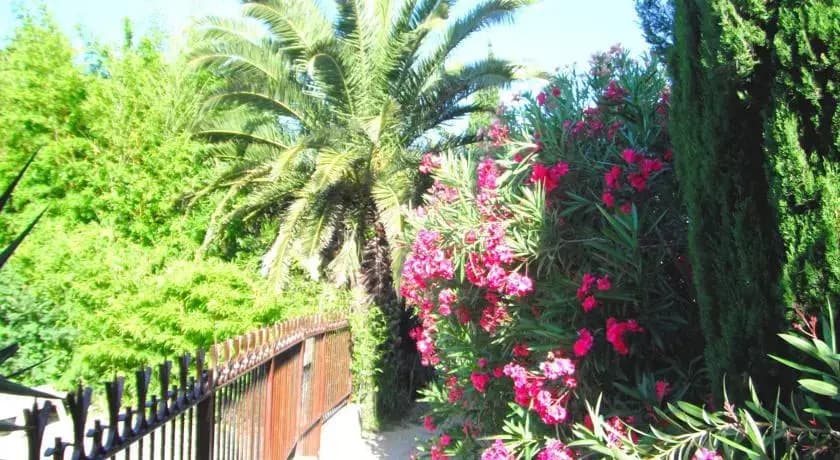 Les Mazets du Soleil - Photo 2