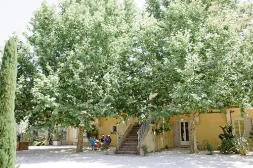 Locabed Le Domaine De Blanche Fleur - Photo 3