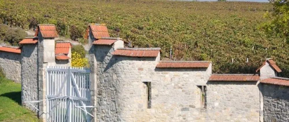 Le Clos du Mont d'Hor - Photo 1