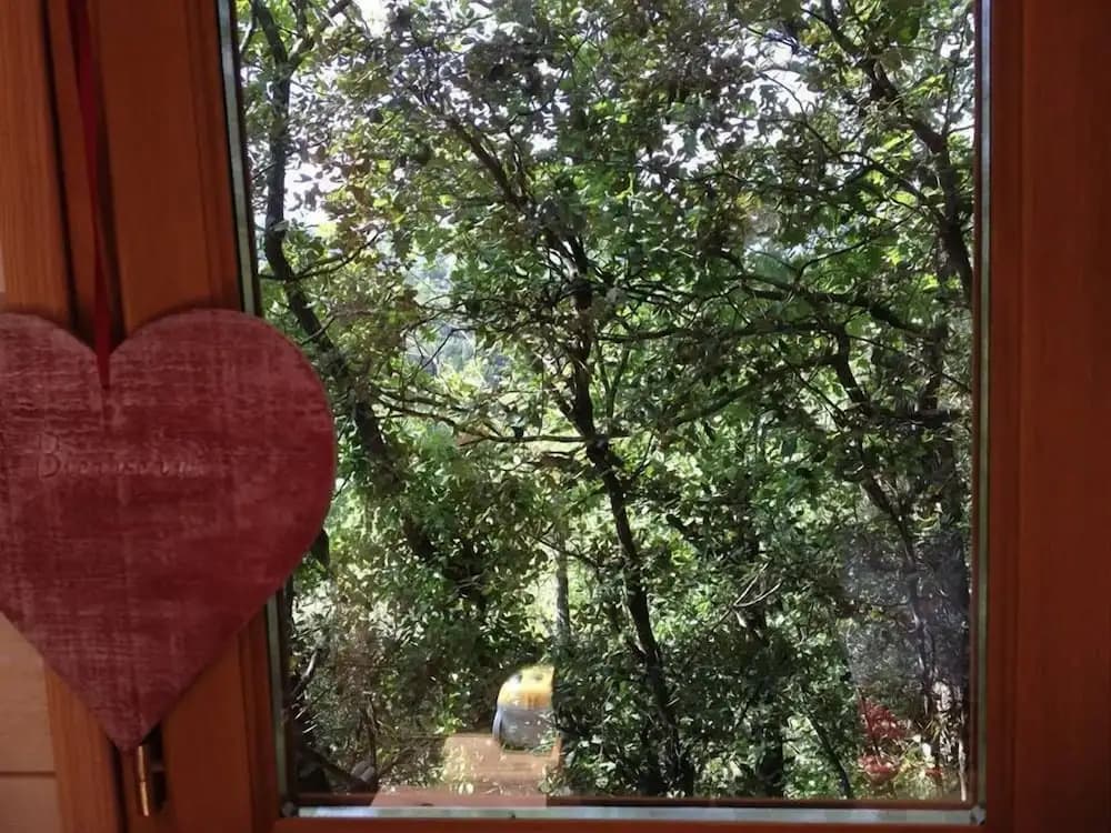 La Cabane Des Amoureux - Miniature 6