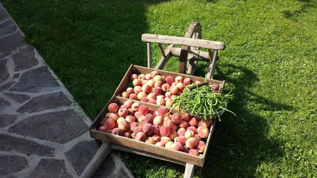 Les Jardins de la Tuilerie - Photo 5
