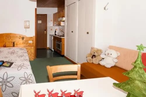 Stella - Photo 3