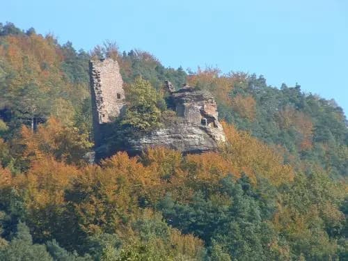 Alsace Village - Photo 3