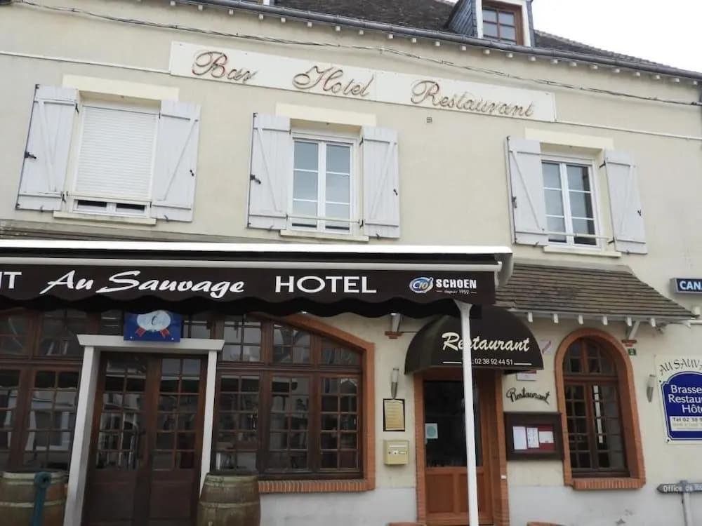 Hotel Au Sauvage - Photo 1