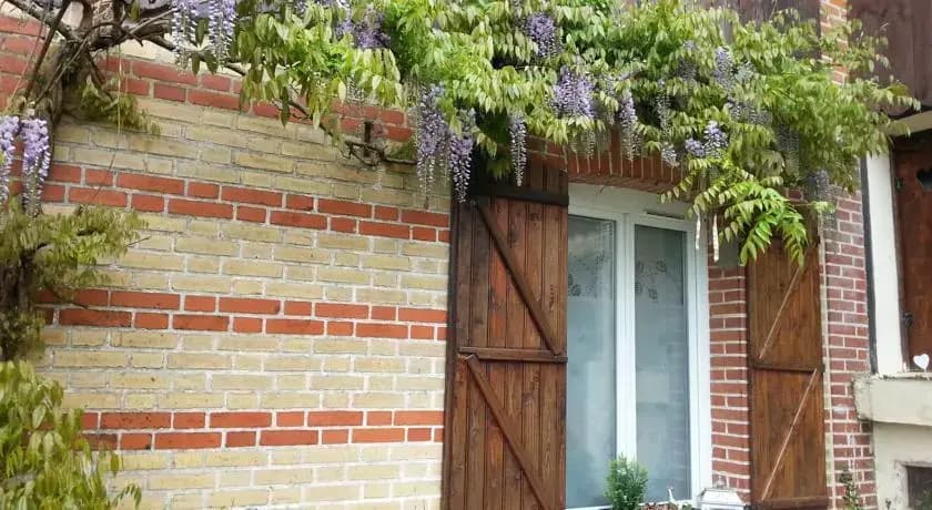 La Glycine - Photo 2