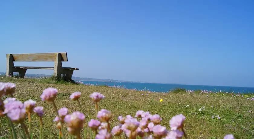 An Ty Monot - Photo 3