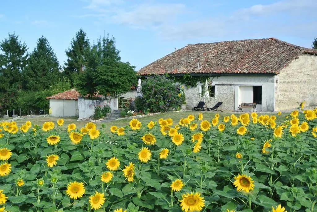 Chez Sarrazin - Photo 2