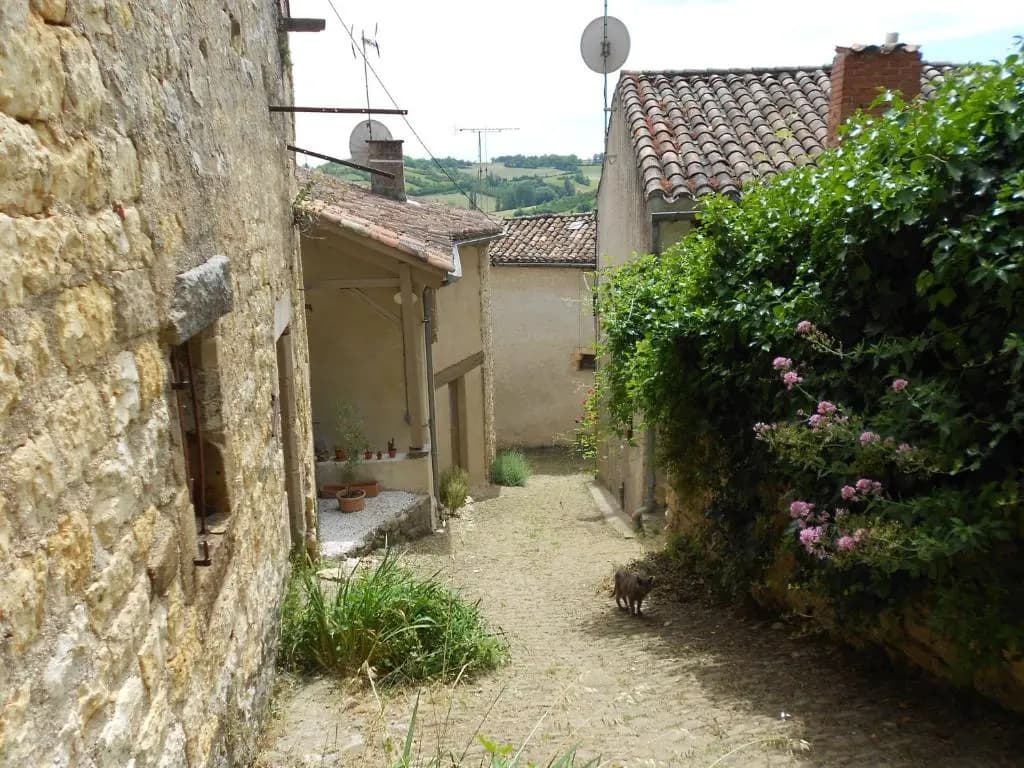 Rue du Barri - Photo 4