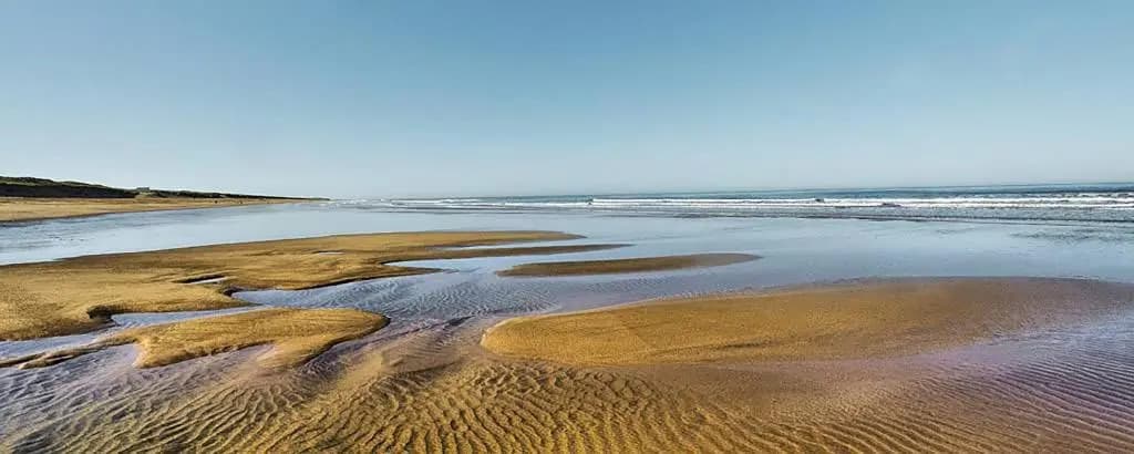 Maison pour 8 personnes au cœur de la Sauzaie et à 600 m de la plage - Miniature 6