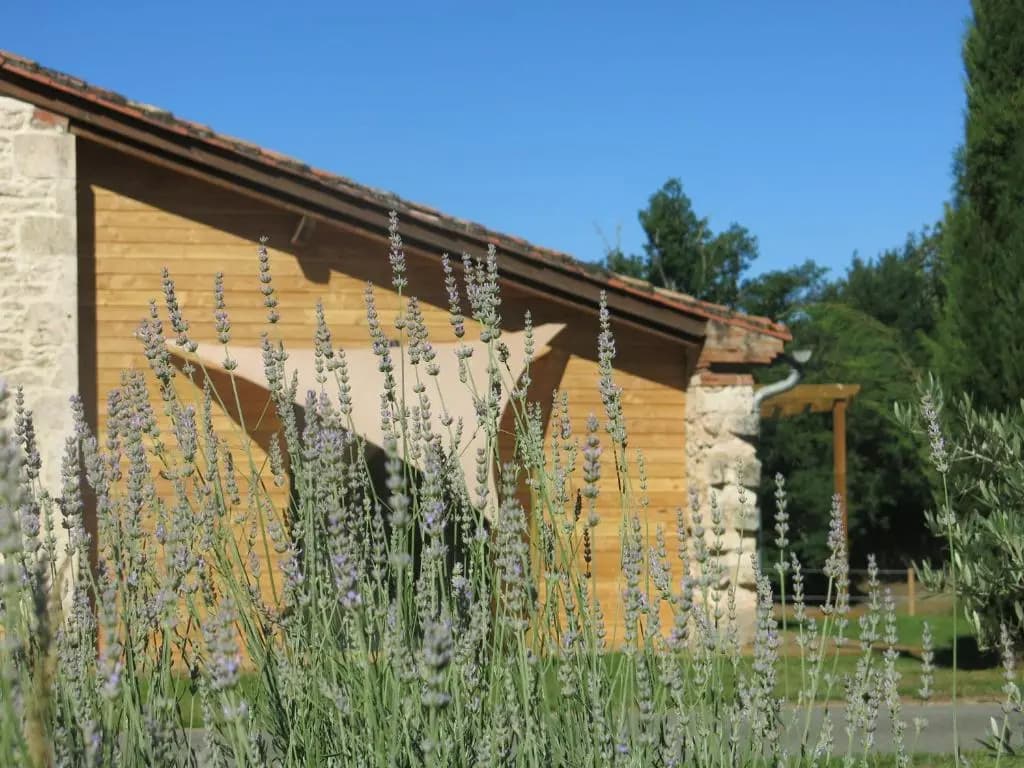 Domaine De Cimélia - Photo 5