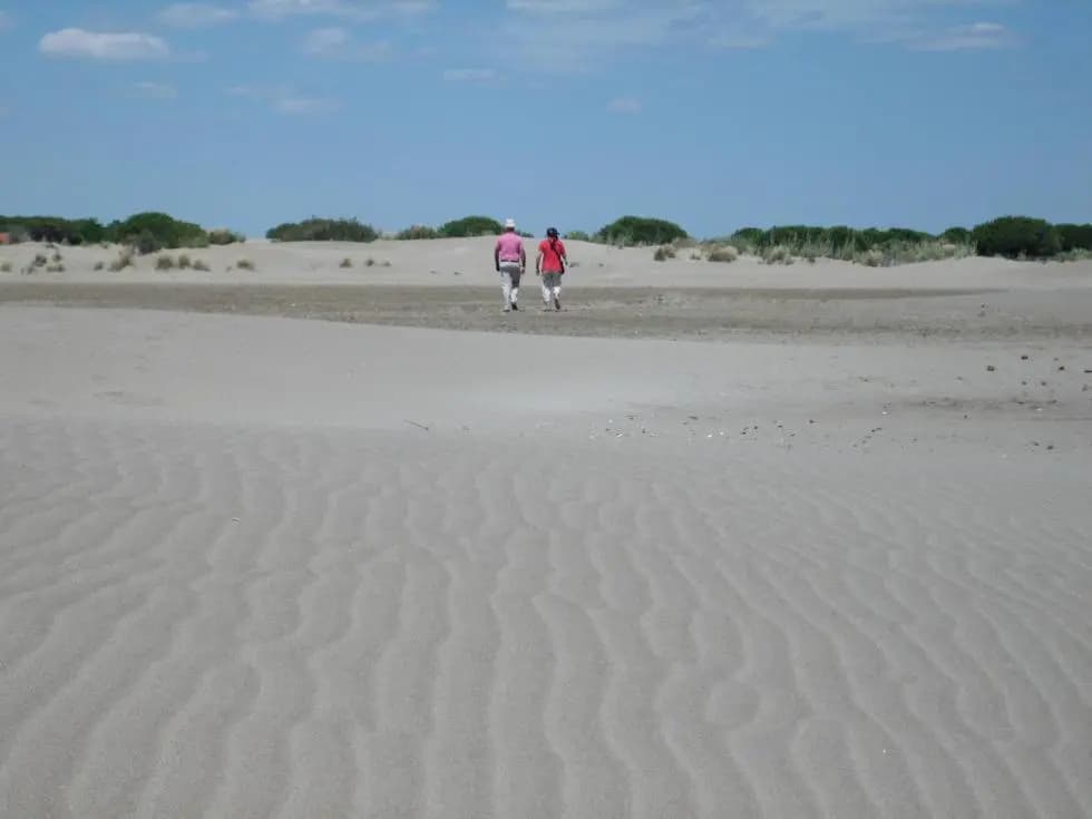 La Nanou'che (roulotte en Camargue) - Photo 2