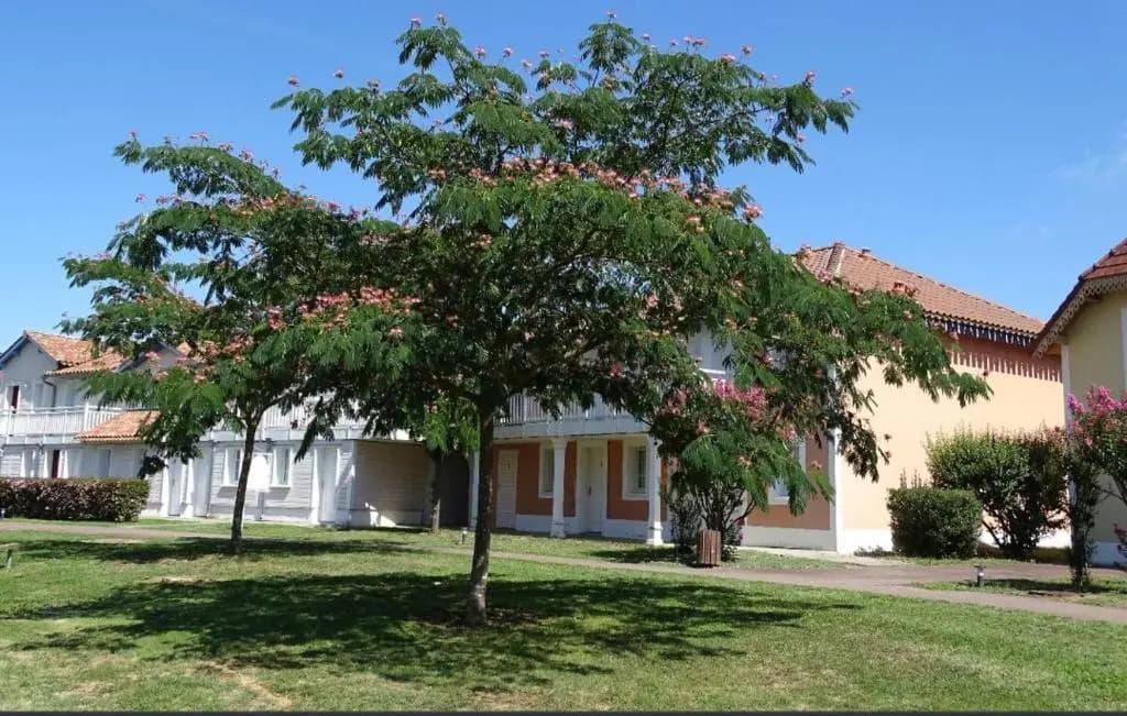 appartement au calme face au lac - Photo 3