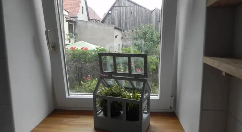Le Nid de Cigognes Kintzheim - Photo 5