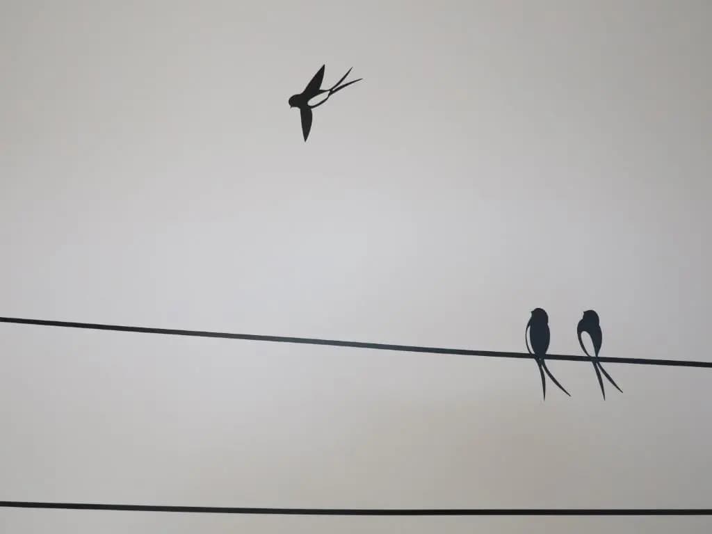 Sarl La Ferme de Maraval - Miniature 7