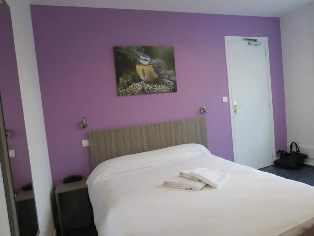 Hotel Le Faisan - Photo 3