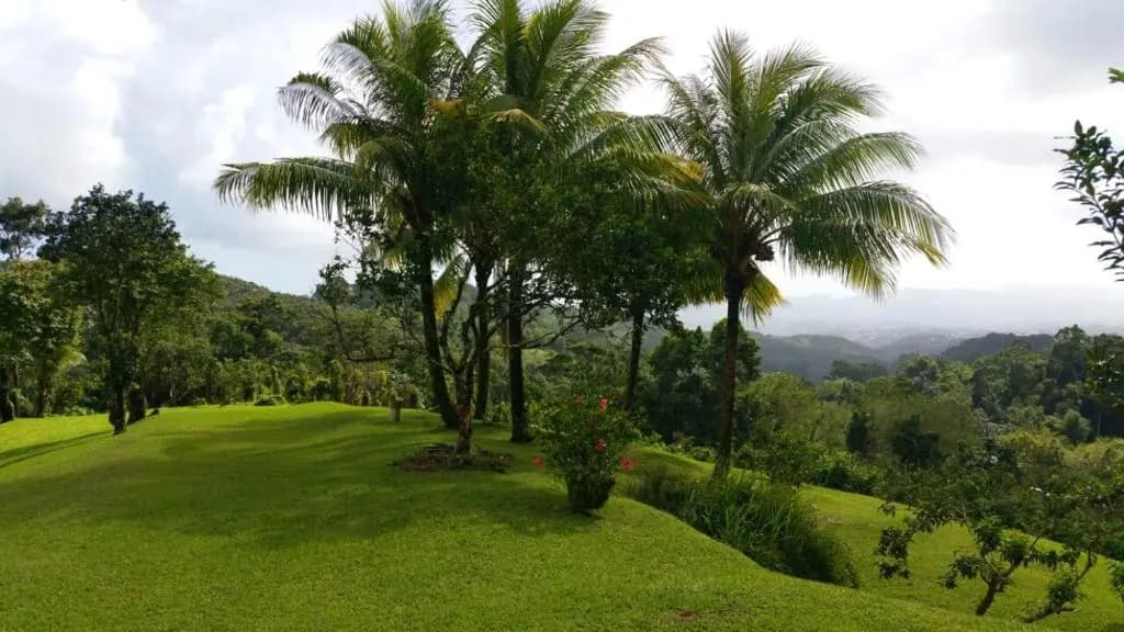 Maison de 5 chambres avec vue sur la mer jardin clos et wifi a saint joseph - Photo 4