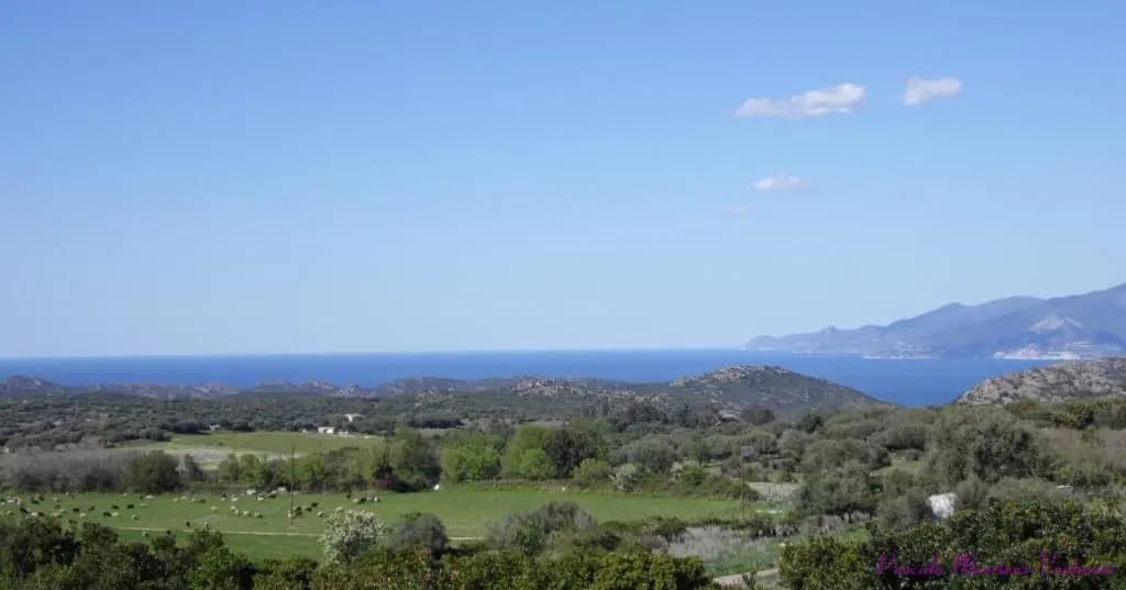 La Canardière - Miniature 7