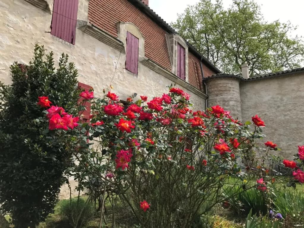 Manoir Saint-Louis - Photo 1