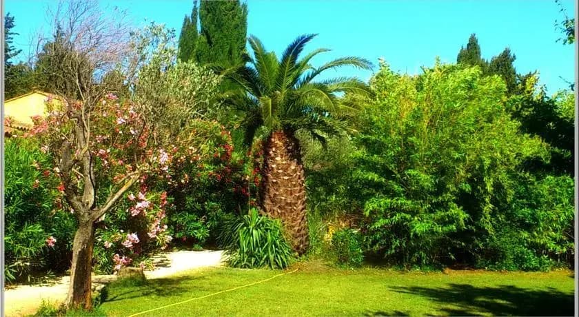 Les Mazets du Soleil - Photo 5