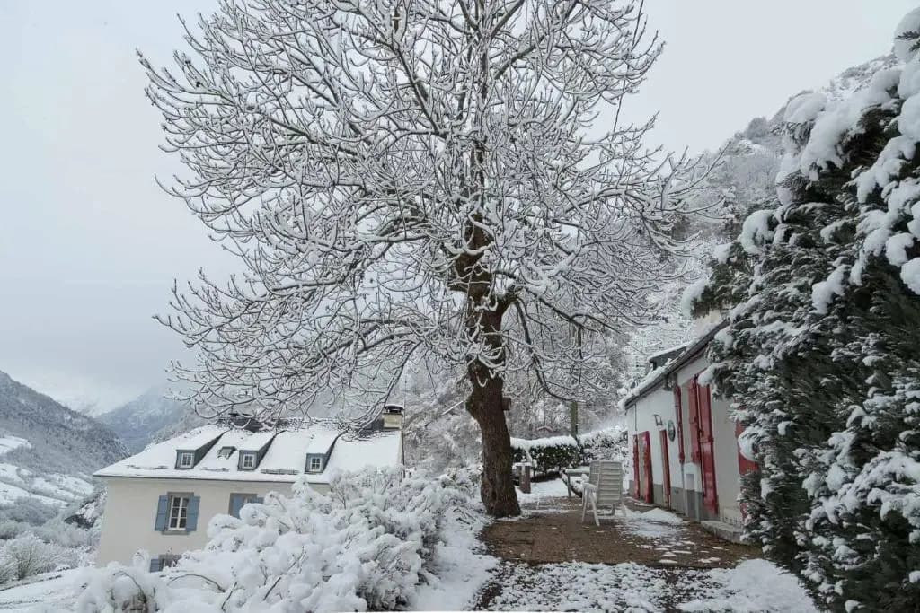 Comfortable farm house Petit Barzun, in the Parc National Pyrenees - Photo 1